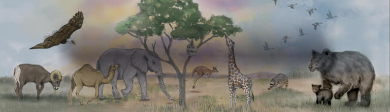 Americana Online Resources